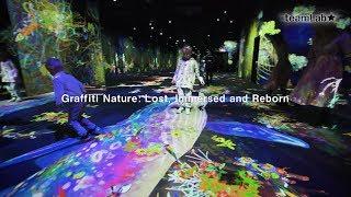 Graffiti Nature: Lost, Immersed and Reborn