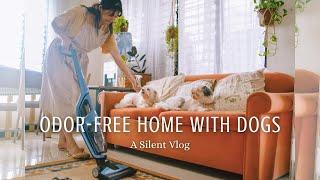 [4K vlog] 5 Simple Ways to Keep A House Clean and Odor-free with Dogs | Silent Vlog #80