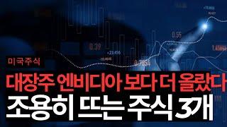 미국증시 10년짜리 강세장 재현될까? (넥스트라에너지/브로드컴/아멕스/엔비디아)