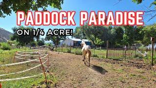 Creating a Paddock Paradise Horse Track System: Transform Your Small Acreage for Happier Horses!