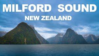 MILFORD SOUND | SOUTH ISLAND | NEW ZEALAND TRAVEL VLOG | EP02