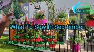 What To Sow In September. Herbs, Veg Flowers for Balcony, Container & Indoor Kitchen Gardens