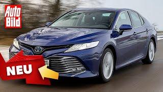 Toyota Camry (2020): Neuvorstellung - Design - Limousine