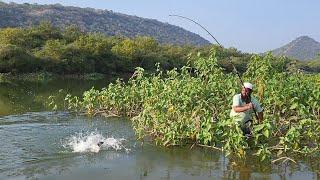 "SINGLE HOOK FLOAT FISHING IN ROHUFISH|SIMPLE BUT EFFECTIVE TECHNIQUE FOR ROHUFISHES "