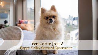 Welcome Pets! Unforgettable living experience for family members! Happy Valley Serviced Apartment