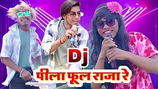 Pila Phool Raja Re || Divya Chauhan Cg Arkestra Song - Dj Nikku Remix