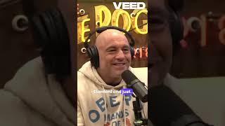 The Genius of John Danaher  From Philosophy to Jiu Jitsu