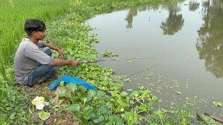 Hook Fishing Video ~ Traditional Hook Fishing  Village Daily Life (Part-475)