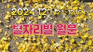 [타로/라이브][별자리별 월운][12.1~12.16][유나김Yu-na Kim][全知的TAROT時占]