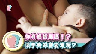 《你有媽媽腦嗎?  懷孕真的會變笨嗎?》【育兒幫寶典】《孕媽新知》│寶貝幫TV