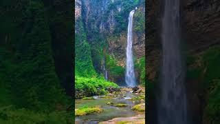 Waterfall 4k|beautiful nature view|about Nature 365#shorts #nature #beautiful #waterfall #views #4k