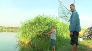 Флет Фидер Миргород - Начало - Рыбалка в Марьевке (Марьевское водохранилище)