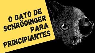 ENTENDA/NÃO ENTENDA O GATO DE SCHRÖDINGER (Física Quântica para principiantes - 8)