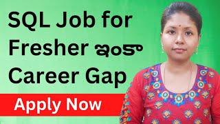 SQL Developer Job For Fresher role Career Gap people can also apply | @Pashams