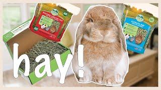 A Guide To Rabbit Hay