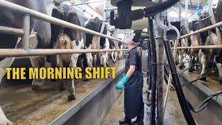 MY BUSY MORNING ROUTINE | DAIRY FARMING IRELAND