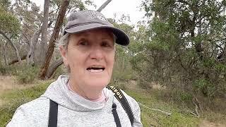 My (not-So) Big Birding Year - the start