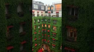 Rainy days in Paris #travel #shorts #paris #travelshorts