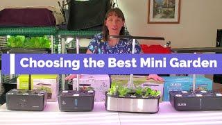 Choosing the Best Mini Hydroponic Growing System