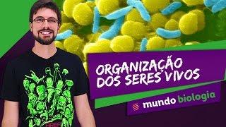  Bioquímica (1/5): Organização dos Seres Vivos - Biologia - ENEM