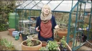 How to grow herbs | Grow at Home | Royal Horticultural Society