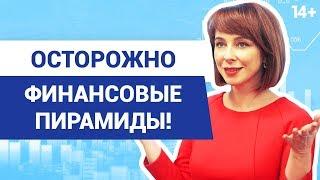 Финансовая пирамида. Признаки того, что вас хотят обмануть // Виды мошенничества 14+