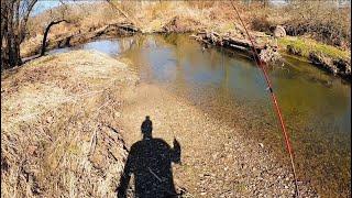 TROUT FISHING PA For BIG WILD BROWN TROUT (Insane Outing) #mepps #fishing #trout