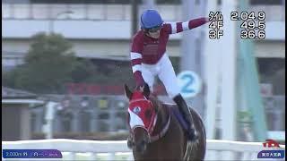 Forever Young (JPN) wins Tokyo Daishoten (G1) race9 at Oi 12/29/2024