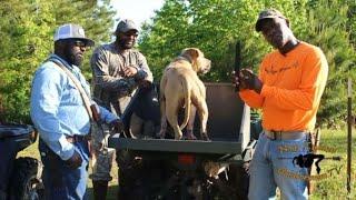 Texas Hog Hunt: Spearing Bacon N.onT.ypical Outdoorsman Style!