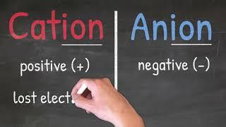 Cations vs. Anions EXPLAINED! | Tadashi Science