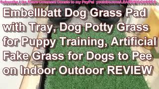 Dog Potty Grass for Puppy Training, Artificial Fake Grass for Dogs to Pee by Embellbatt REVIEW