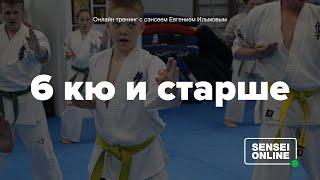 Карате Киокушинкай онлайн-тренировка. 6 кю и старше