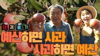 사과하면 예산, 예산하면 사과! I 2D 재배법으로 탄생한 고품질 사과 I 영화 세트장 아니야? 감성 가득 사과나무벤치! I 오늘M 대전/세종/충남 l 2022년 10월 25일