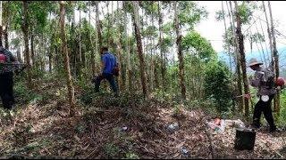 小伙请5人给桉树除草施肥，大热天给他们送了啥，干活更卖力了