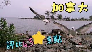 《退休慢生活》加拿大四十里溪公園評比4.5顆星特別美麗景點#ivy生活點滴 #多倫多生活＃Toronto vlog # Forty mile creek park #