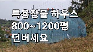 이중 비닐하우스 800~1200평까지 임대 놓으실 분은 연락주세요