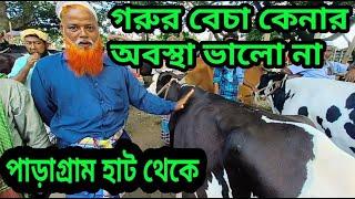 Paragram Hat?goru hat paragram/paragram gorur haat 2022/ajker paragaram hat/পাড়াগ্রাম গরুর হাট