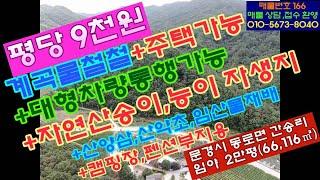 (매물번호 166번)문경시동로면 임야.자연계곡물철철.도로 전기 상수도 걱정뚝.송이능이버섯자생지.전원주택가능.캠핑장 및 펜션가능.임업인용(산양삼,호두,고로쇠 최적지)산약초산나물재배용