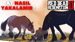 RDR2 | RED DEAD REDEMPTİON2 AT YAKALAMA REHBERİ. [TÜRKÇE]