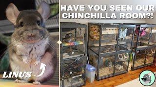 The Chinchillas' Full Morning Routine | Get Ready With Us! 