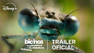 Bichos: Una verdadera aventura en miniatura | Tráiler oficial | Disney+