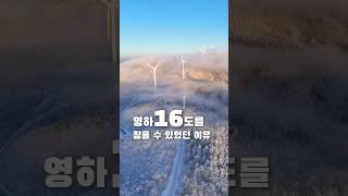 차로 편하게 980m올라가 편하게 만나는 눈꽃 #태기산 #횡성여행 #눈꽃 #설산 #겨울여행