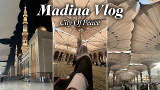 Madina Vlog | City Of Peace