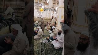 Riaz ul Jannah Madina #islamicvideo #2024 #madina #shorts