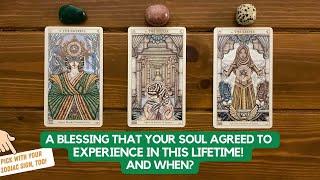 A Blessing That Your Soul Agreed To Experience in This Lifetime! And When? | Timeless Reading