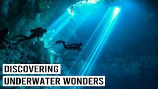 Stunning Underwater Cave Adventures and Thrilling Shark Encounters