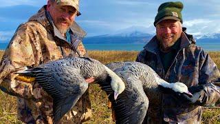 The Quest For An Emperor Goose | Cold Bay, Alaska | Hunt Documentary