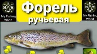 My Fishing World Форель ручьевая ловим одну за одной