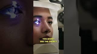  Exploring How The Brain Processes Visual Information! ️ @stanford