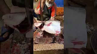 Marvelous Fish Cutting #fish #fishcutting #shorts